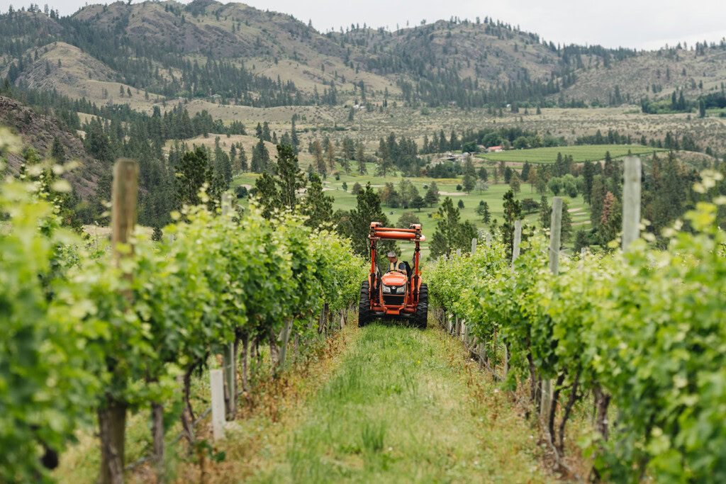 A tractor drives through a lush vineyard under a cloudy sky, surrounded by rows of grapevines. Rolling hills and scattered trees can be seen in the background, creating a picturesque rural landscape.